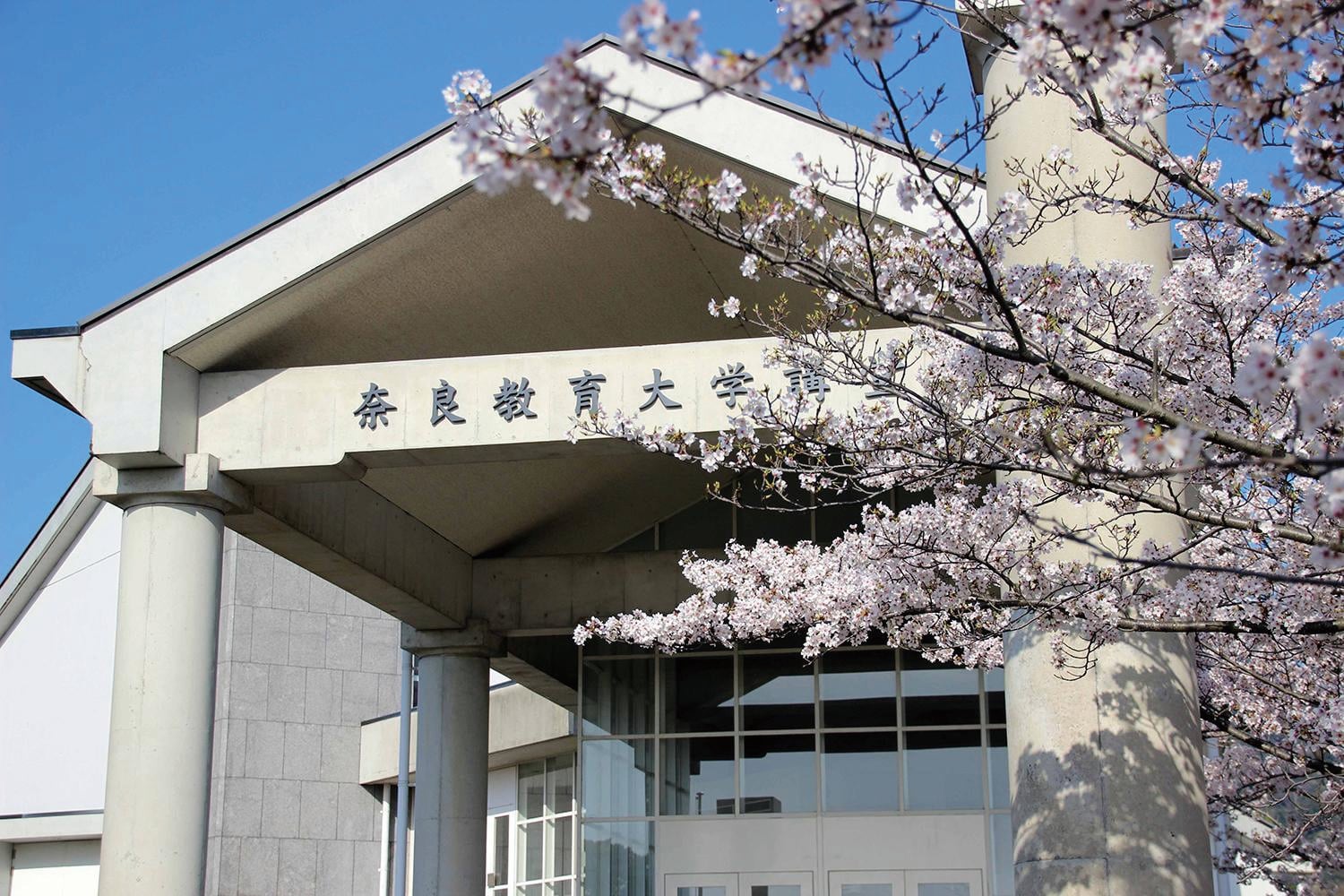大学の画像