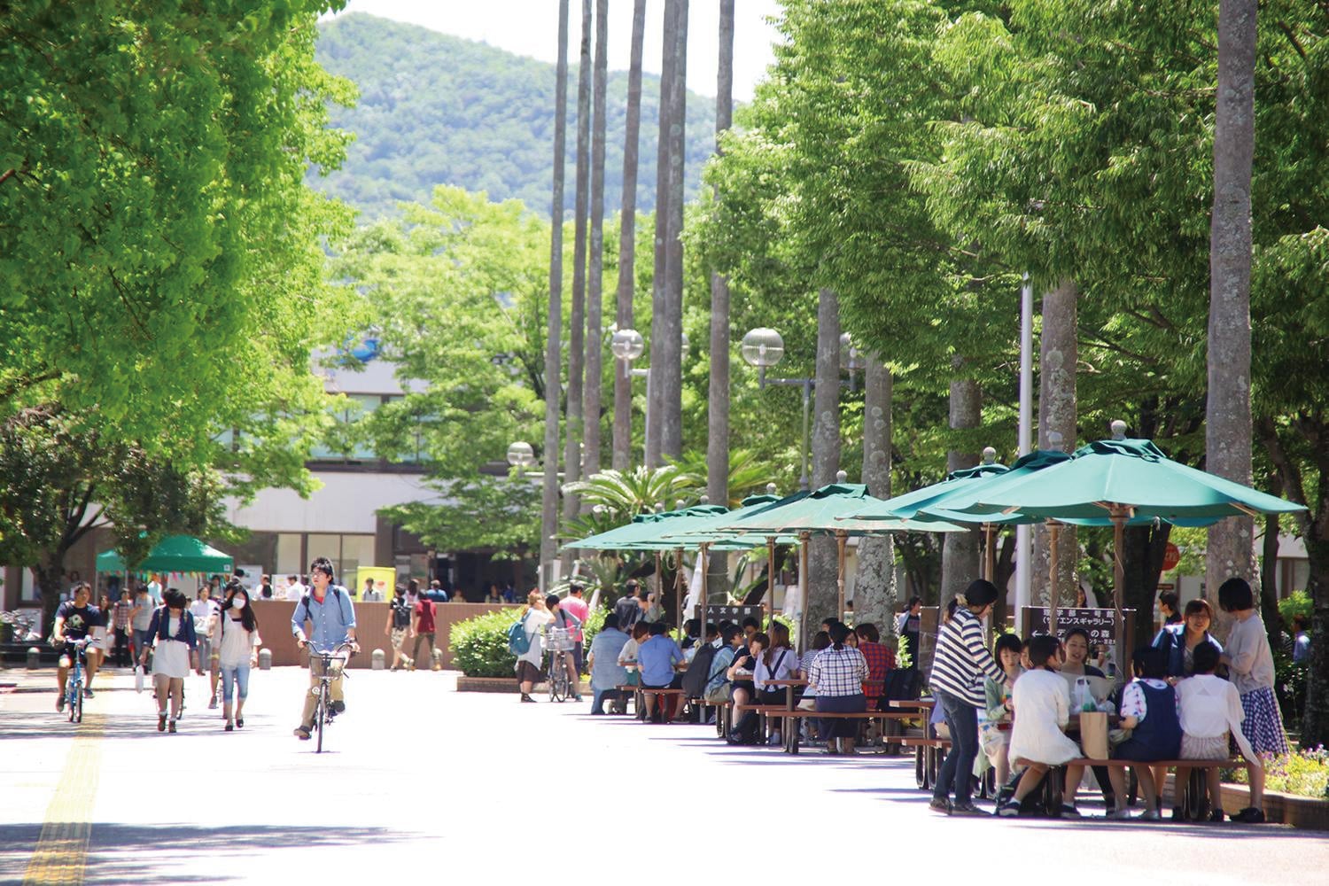 大学の画像