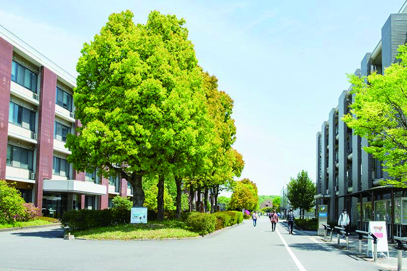 大学の画像
