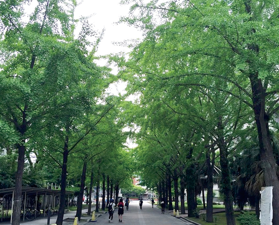 大学の画像