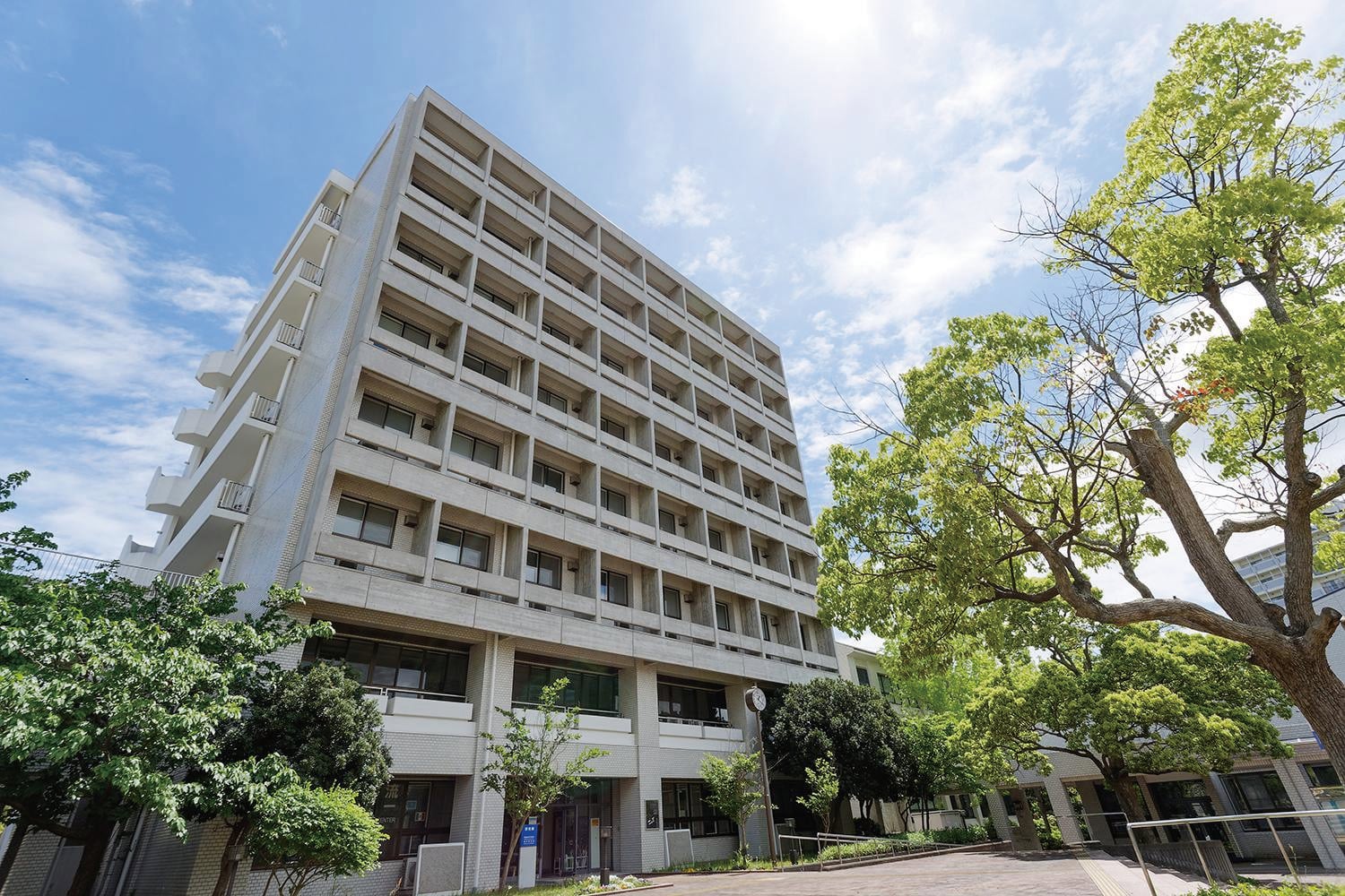 大学の画像