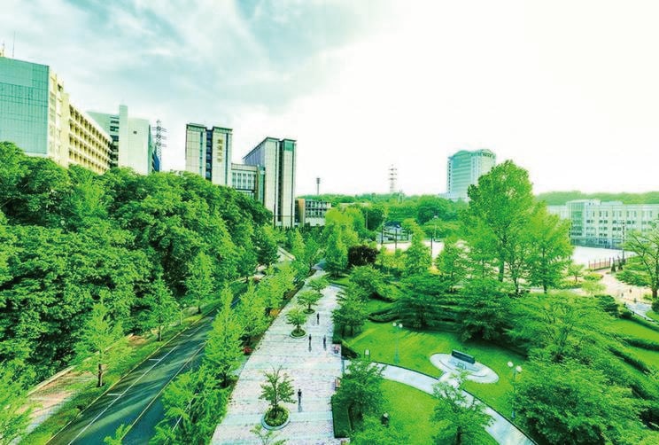 大学の画像