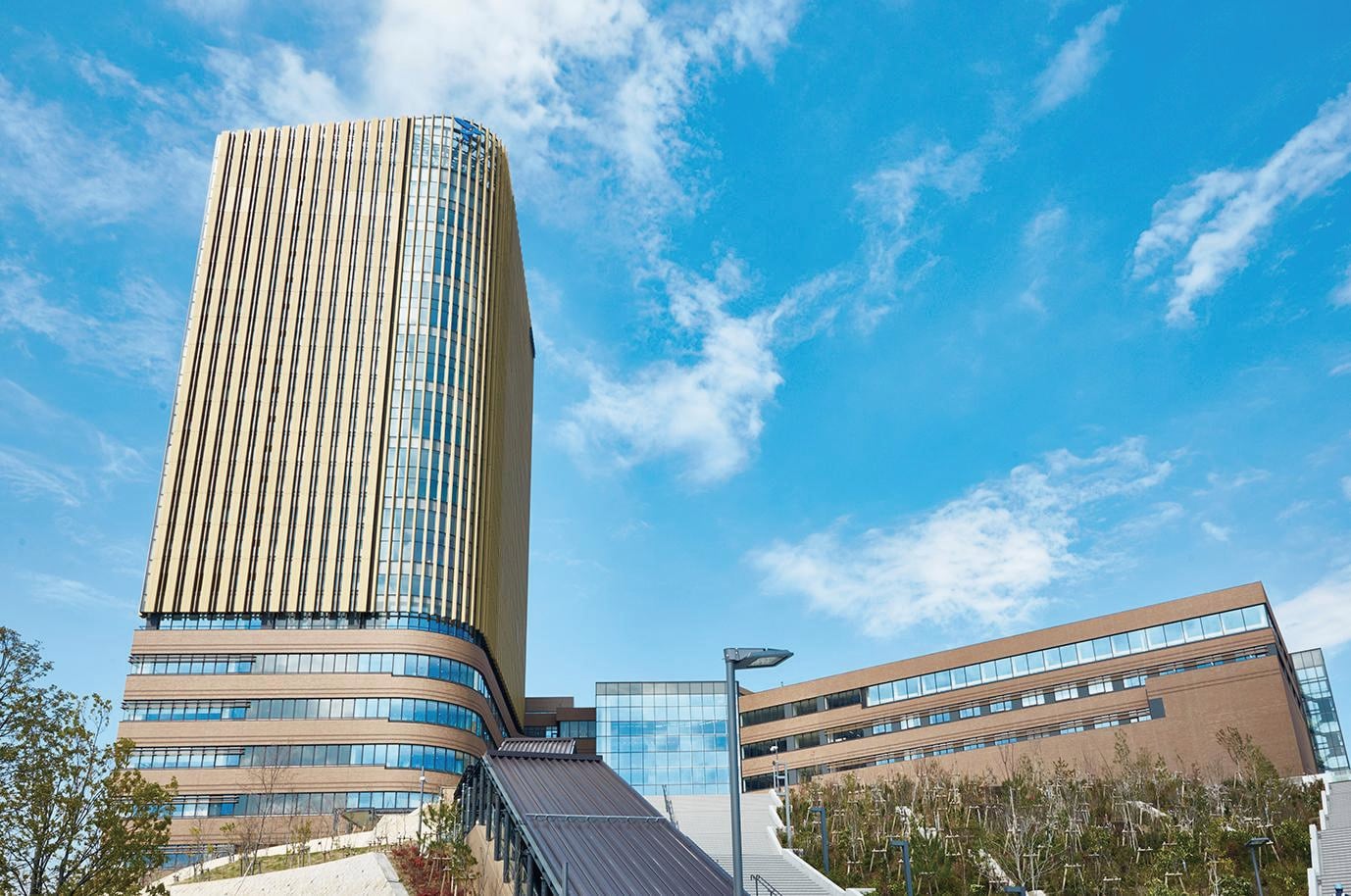 大学の画像