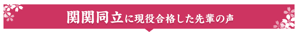 上智大・東京理科大・明治大・青山学院大・立教大・法政大・中央大に現役合格した先輩の声