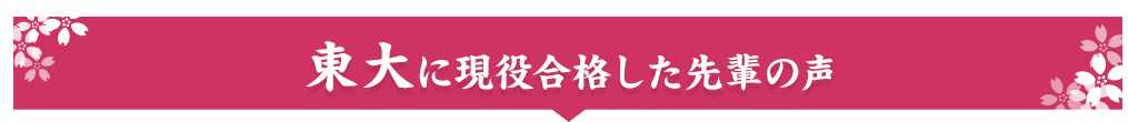 東大に現役合格した先輩の声