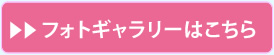 フォトギャラリーはこちら