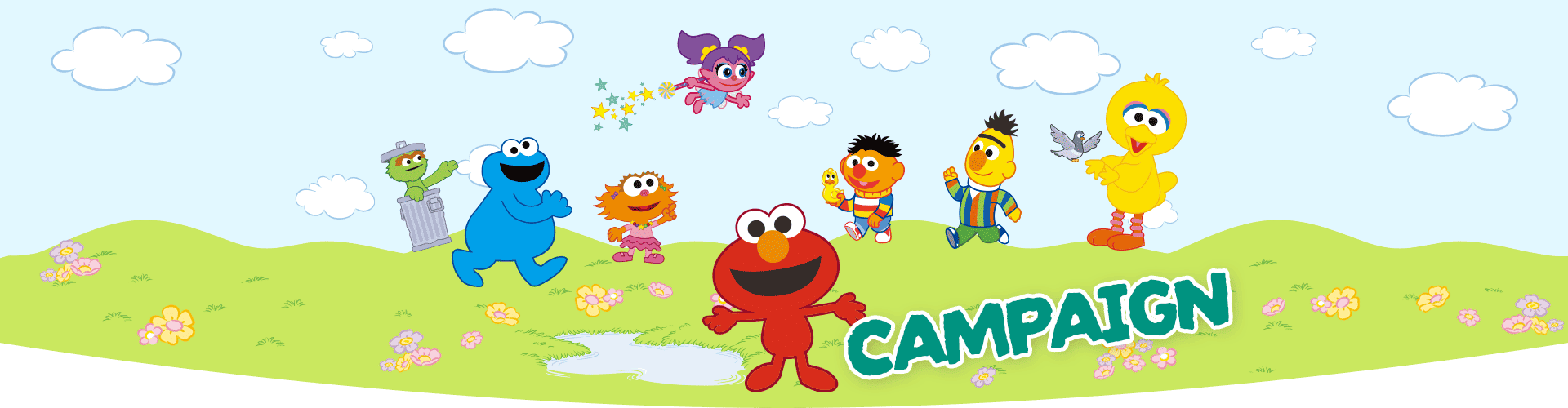 CAMPAIGN