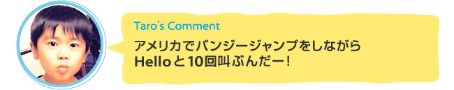 Taro's Comment「アメリカでバンジージャンプをしながらHelloと10回叫ぶんだー！」