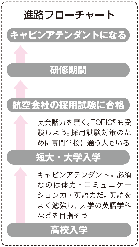 キャビンアテンダント 客室乗務員 なり方 資格 仕事内容 年収など 未来の職業研究 東進の職業情報サイト