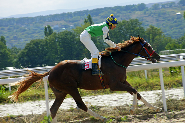 ジョッキー 騎手 競馬選手 なり方 資格 仕事内容 年収など 未来の職業研究 東進の職業情報サイト