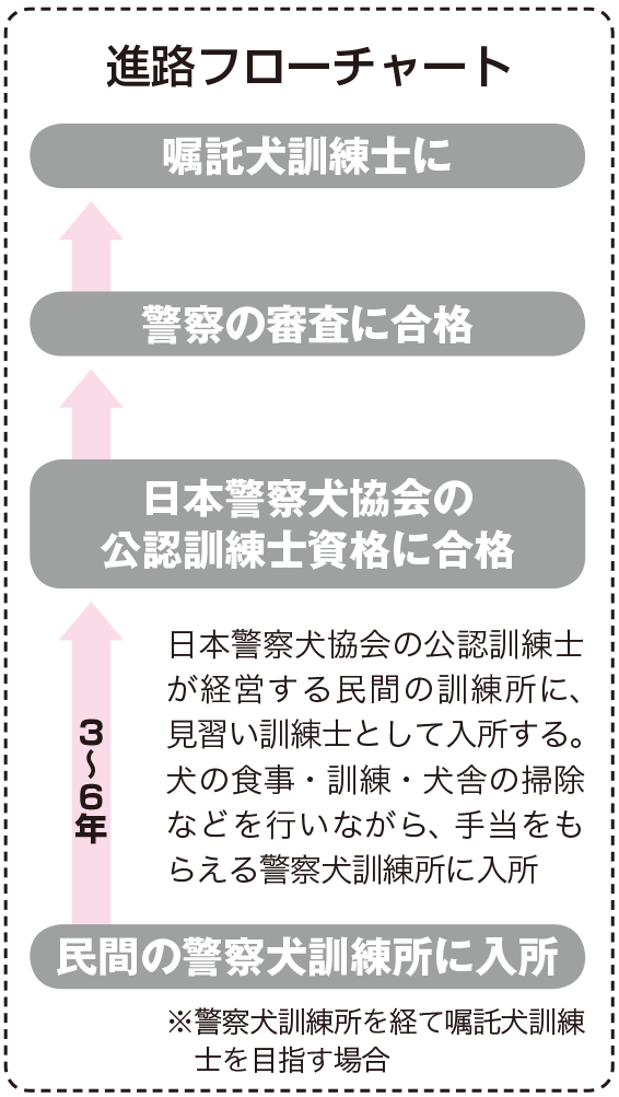 警察犬訓練士になるためには なり方 資格 仕事内容 年収など 未来の職業研究 東進の職業情報サイト