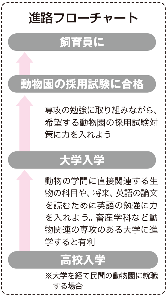 動物園の飼育員になるためには なり方 資格 仕事内容 年収など 未来の職業研究 東進の職業情報サイト