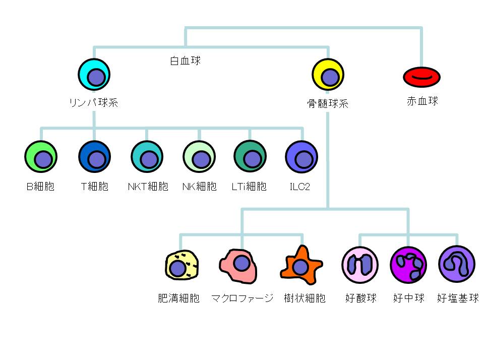 資料2