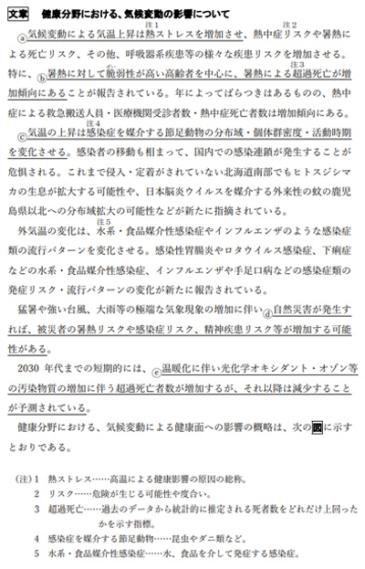 テキスト1