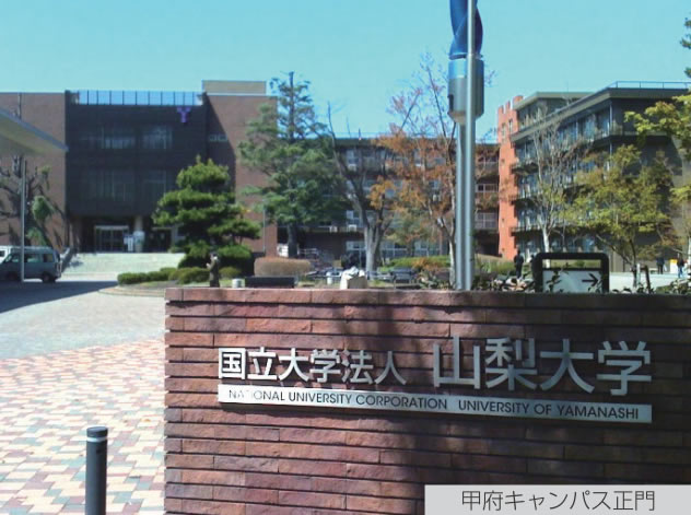 山梨大学