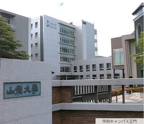 山梨大学