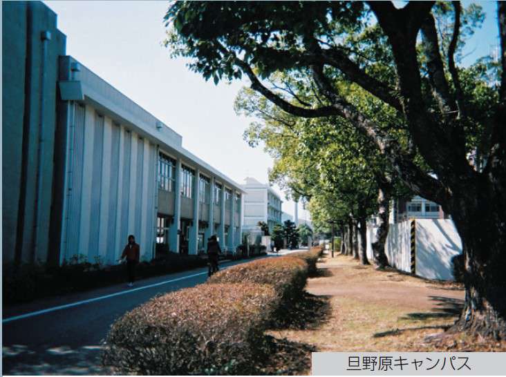 大分大学