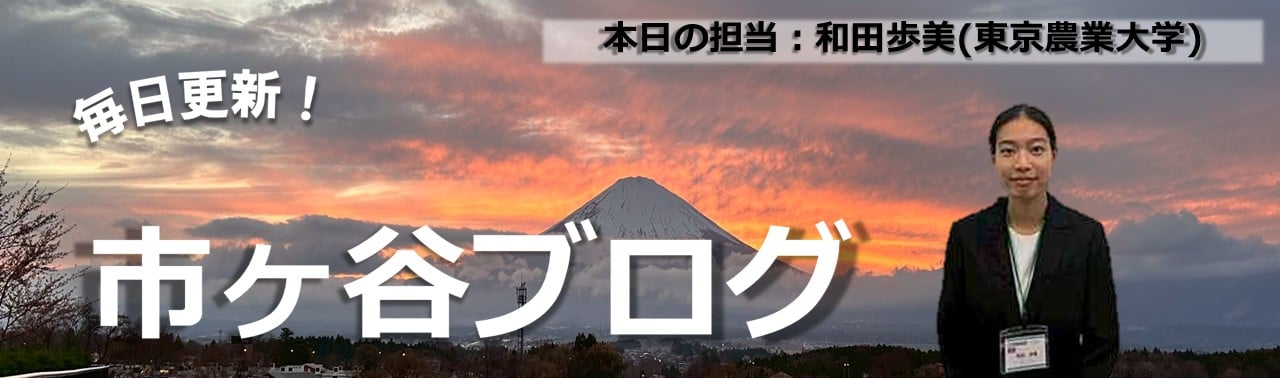 担任助手と校舎名