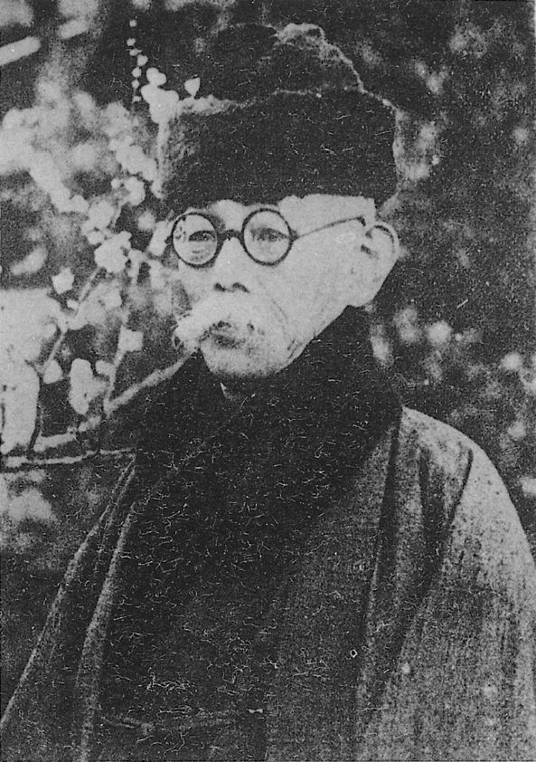 坪内 逍遥の画像