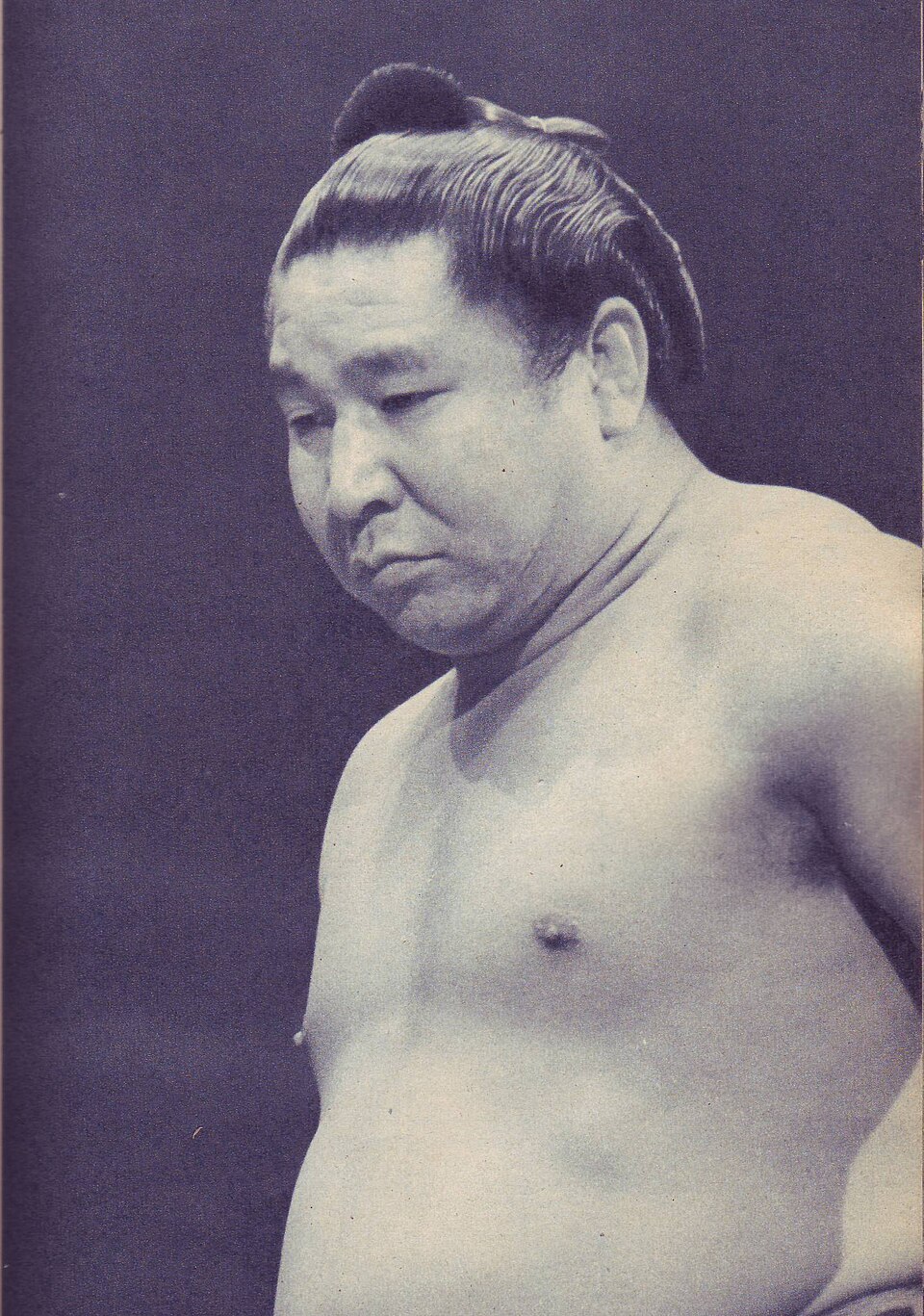 初代 若乃花 幹士の画像