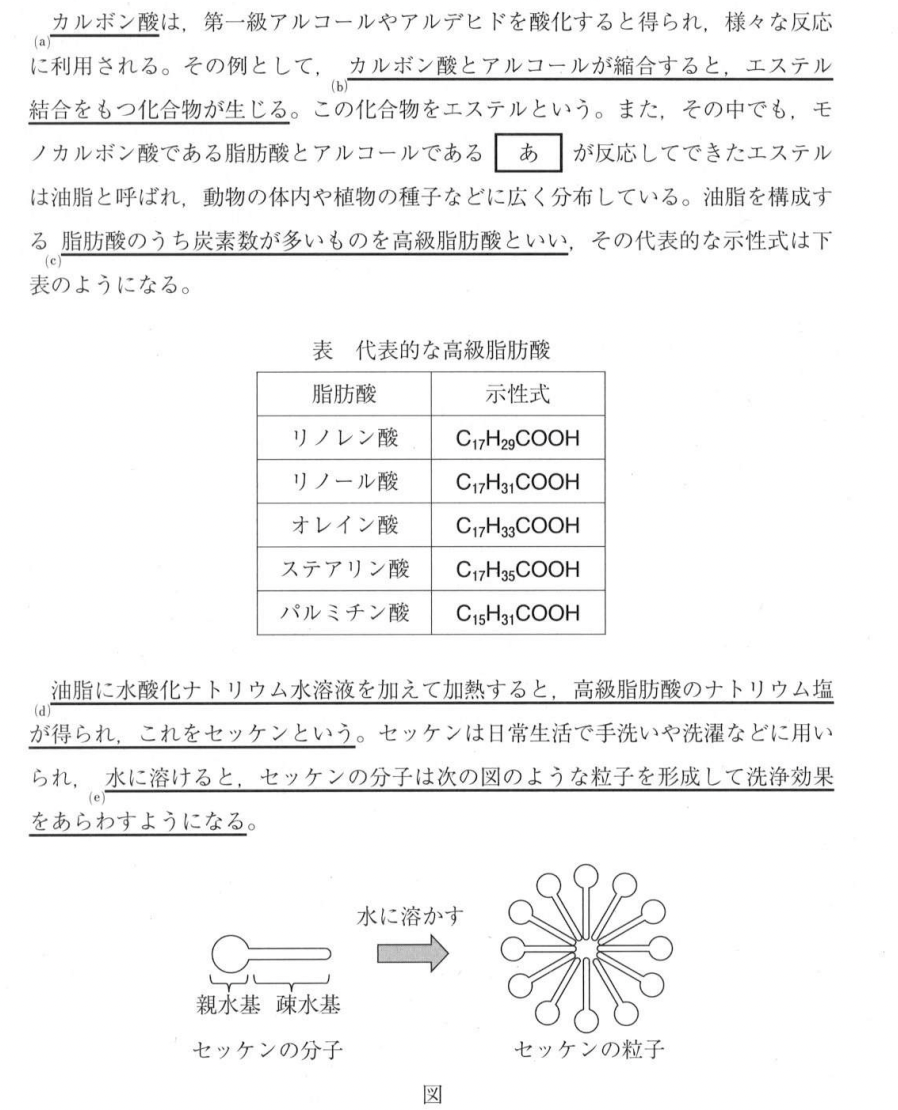 国公立二次・私大解答速報2025