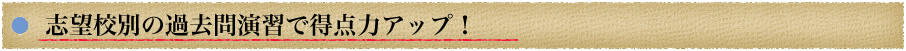 志望校別の過去問演習で得点力アップ!