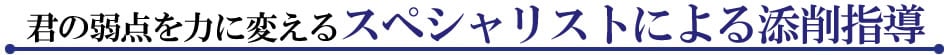 君の弱点を力に変えるスペシャリストによる添削指導