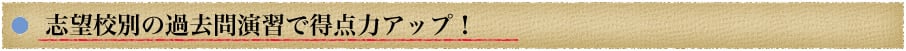 志望校別の過去問演習で得点力アップ！