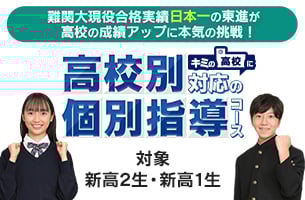 高校別対応の個別指導コース