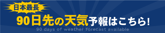 秩父 10日間天気