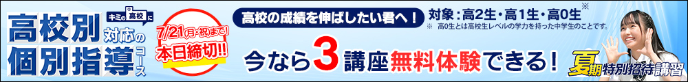 高校別対応の個別指導コース