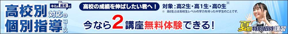 高校別対応の個別指導コース