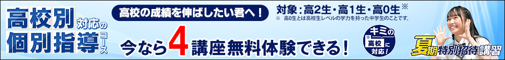 高校別対応の個別指導コース