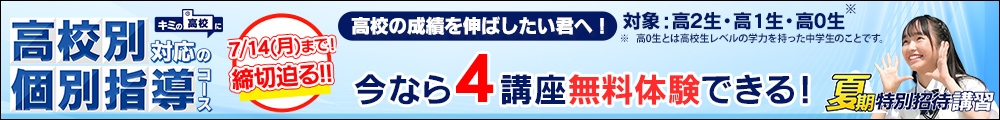 高校別対応の個別指導コース