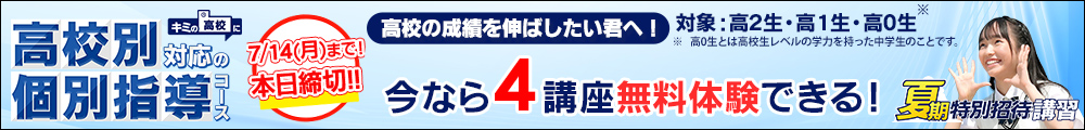 高校別対応の個別指導コース